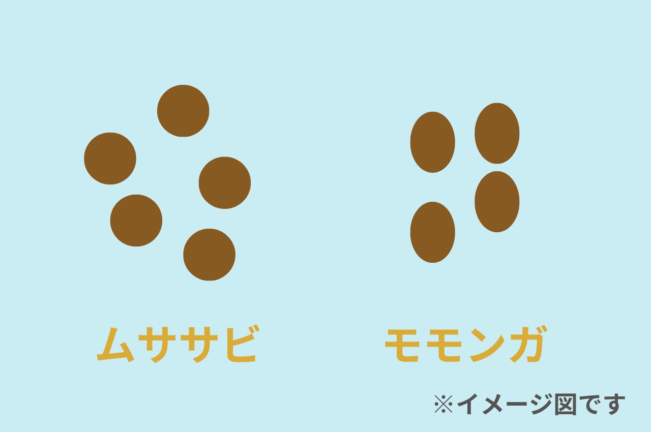 ムササビ モモンガ 違い
