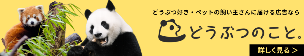 動物好き・ペットの飼い主さんに届ける広告なら　どうぶつのこと。