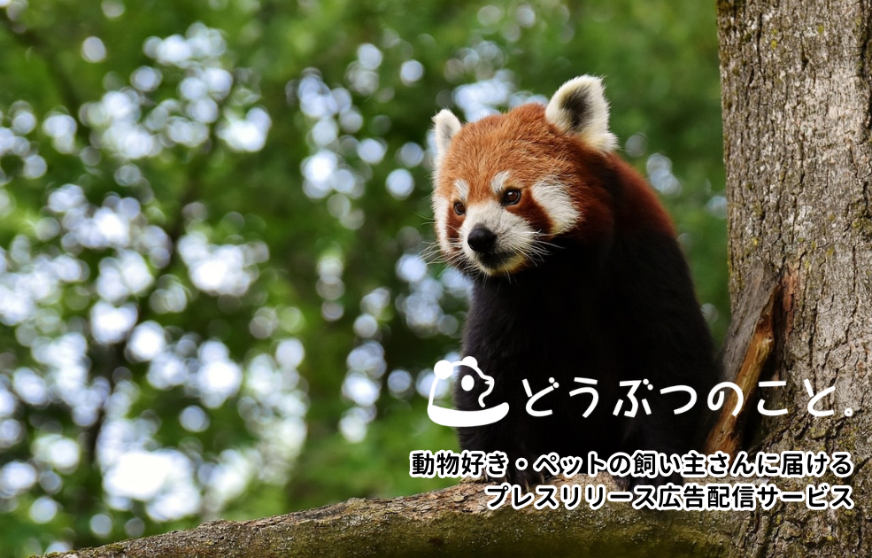 動物好き・ペットの飼い主さんに届けるプレスリリース広告配信サービス