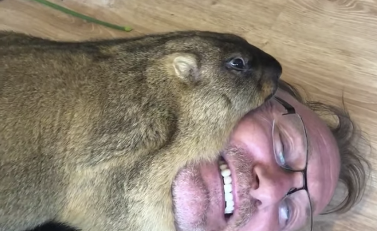 とっても人懐っこい もふもふ マーモット って知ってる どうぶつのこと