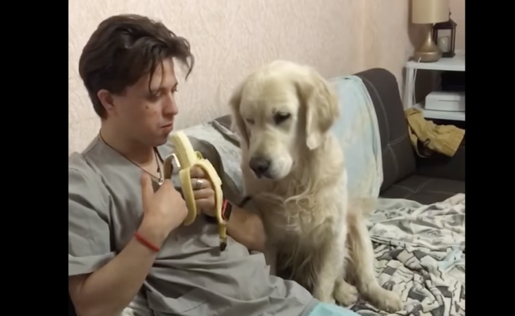 犬 バナナ バナナ食べたい 盗み食いの方法が可愛い