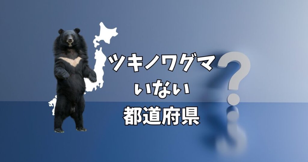 くまのコ様参考画像① ３びきのくま｜福音館書店