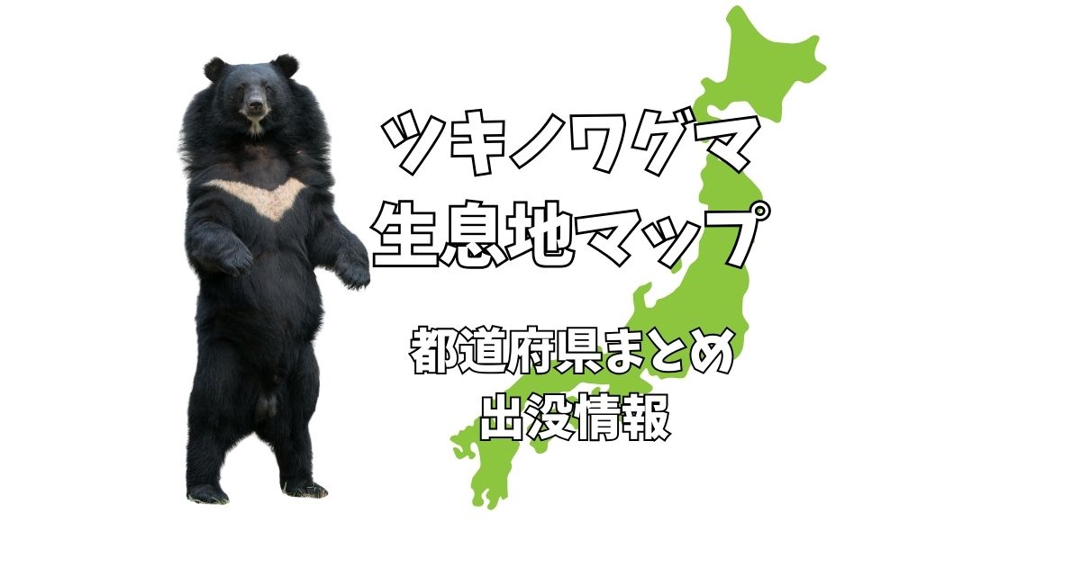 くまのコ様参考画像① ３びきのくま｜福音館書店