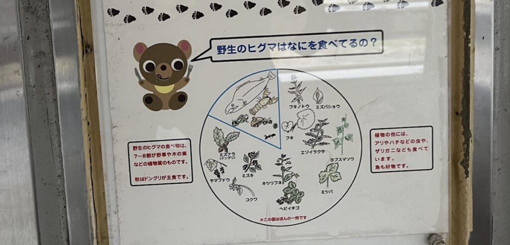 北海道登別クマ牧場への取材にて