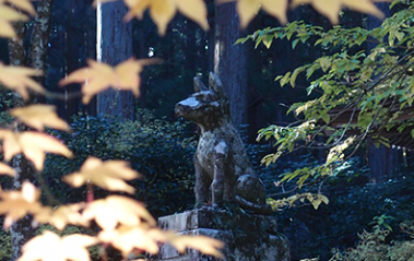 霊犬早太郎伝説(静岡県光前寺)