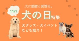 【2025】11月1日は「犬の日」おすすめ犬イベント、犬グッズを大公開
