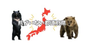 【2025年版】熊がいない県一覧｜地図・理由・九州・沖縄・千葉は本当にいないのか？
