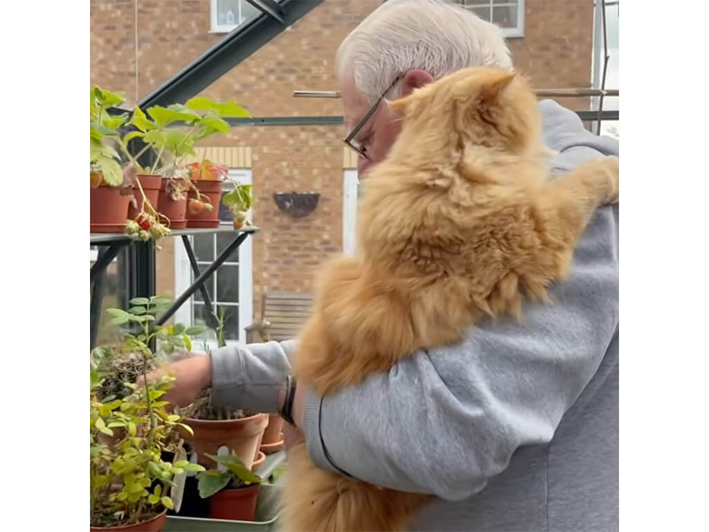 ふたりの共通の趣味♡ ガーデニング中のお父さんにぴったりくっつく猫さん