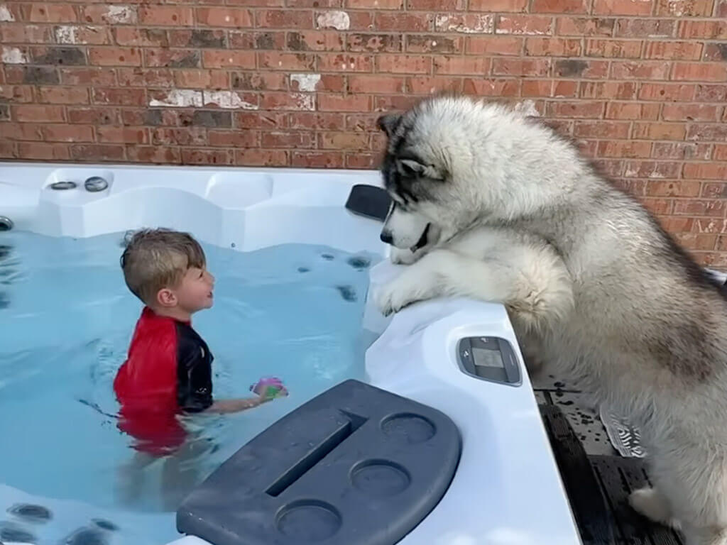 犬「これってプール? お風呂?」水遊びはしたいけど… お庭のジャグジーに興味津々!
