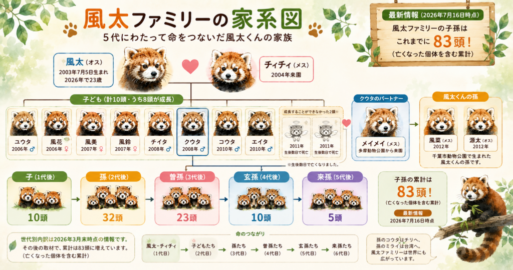 © どうぶつのこと。公開情報をもとに編集部が独自に整理・制作した図解です。画像の無断転載・複製・加工・再配布を禁じます。